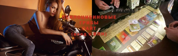 apvp Белокуриха